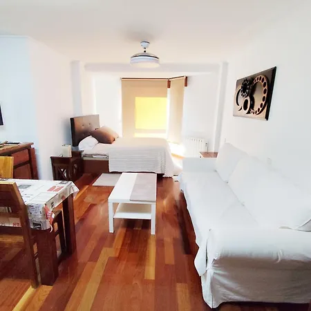 Appartement Estudio Centrico, A Pocos Metros Plaza De Espana.