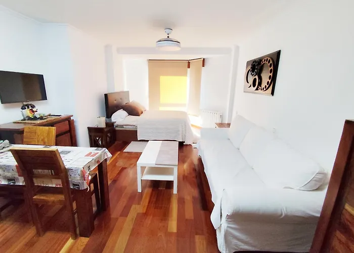 Daire Estudio Centrico, A Pocos Metros Plaza De Espana.